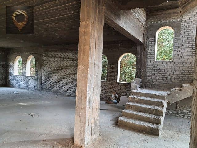 11 956db748-7b32-4b0b-9ba7-79ee991eab43. jpg