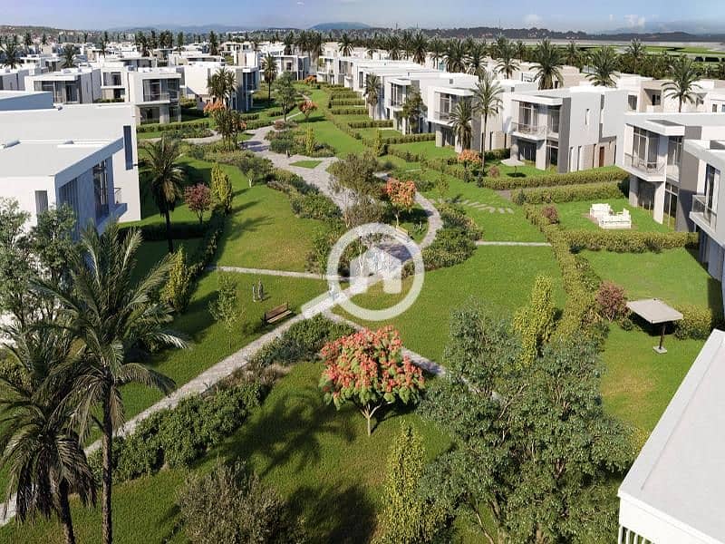 7 ZED East Hero. jpg