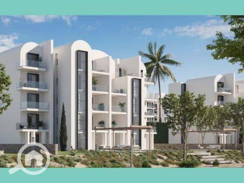 3 Untitled design (95). png