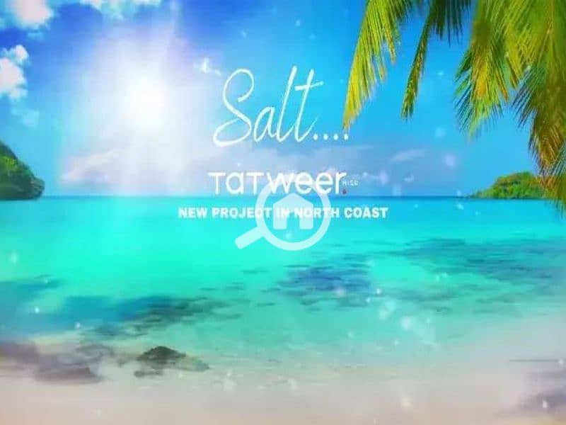 10 Untitled design (94). png