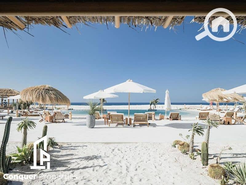 7 Untitled design - 2023-07-26T170214.393 (2). png