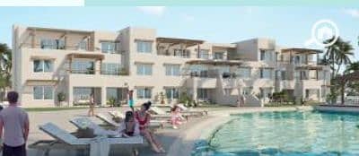 7 Screenshot 2024-08-07 133938 - Copy. png