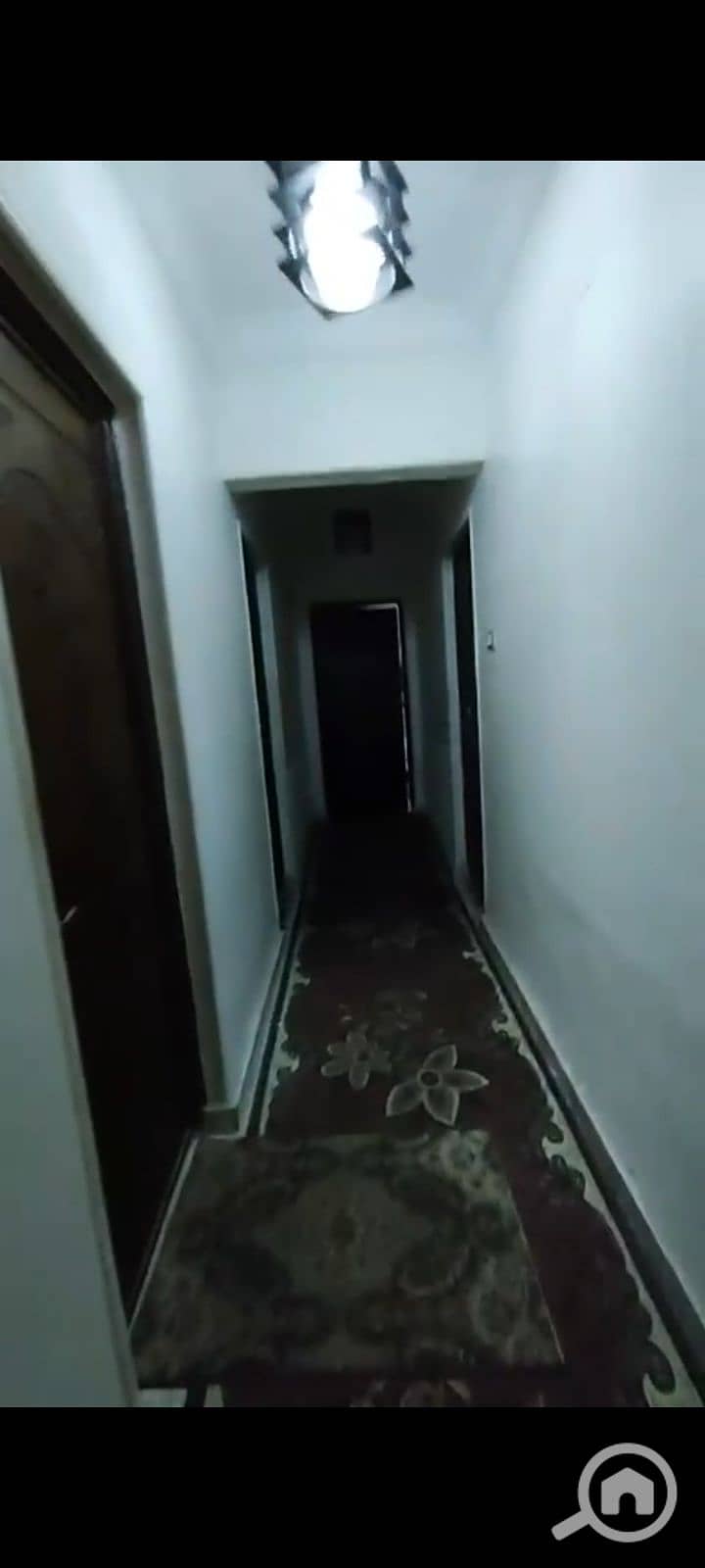 11 1000262679. png