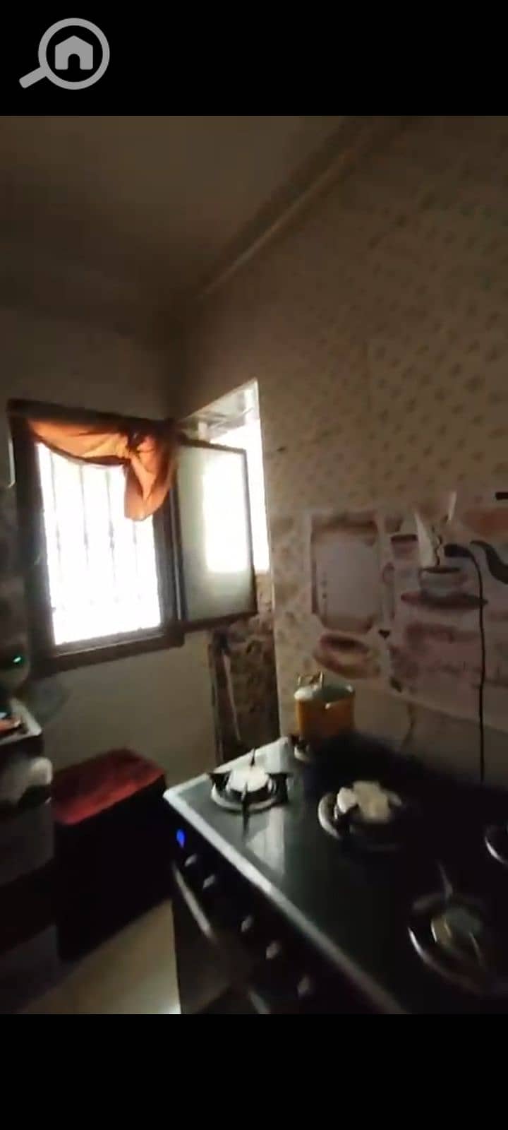 12 1000262676. png