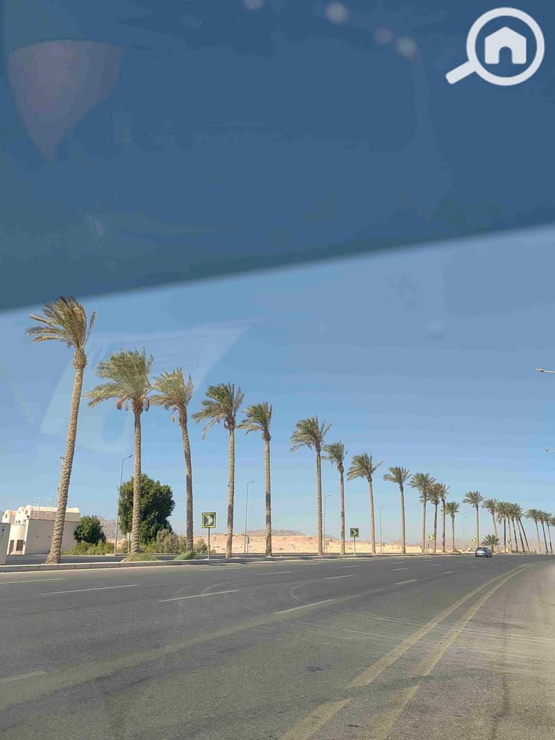 2 IMG_20251026_122007. jpg