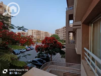 2 Bedroom Apartment for Rent in Madinaty, Cairo - 3ec62007-d381-4fd3-af50-b44e40768ae9. jpg