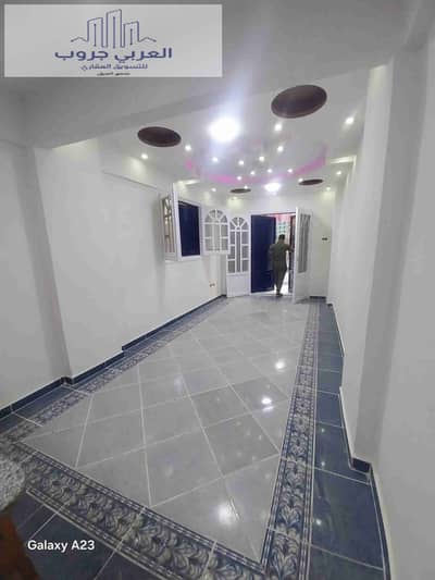 فلیٹ 2 غرفة نوم للبيع في النخيل، الإسكندرية - 1000300290. heic