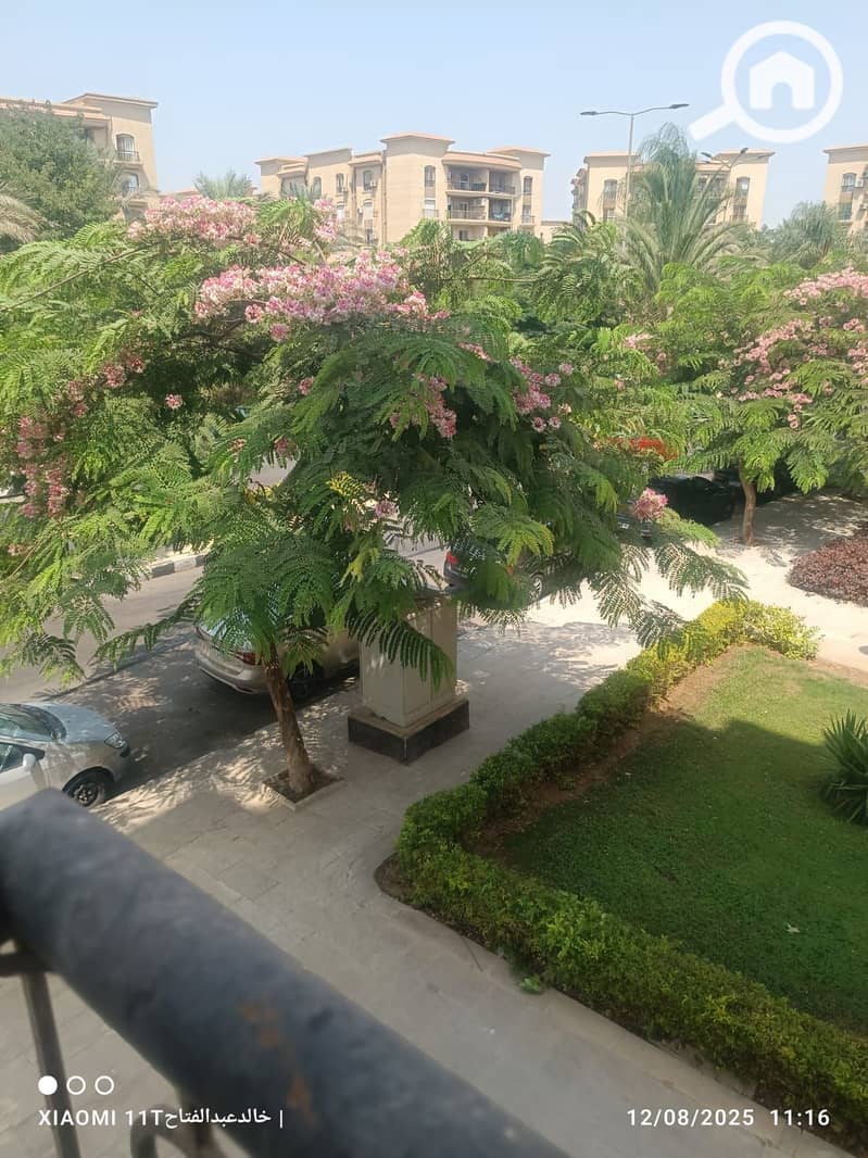 8 acf8b5f9-98b4-4097-8d86-e71f3b0725ec. jpg