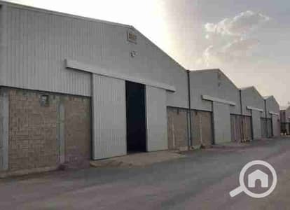 Warehouse for Rent in Abu Rawash, Giza - 1000024639. jpg Warehouse for Rent in Abu Rawash, Giza - 1000024639. jpg