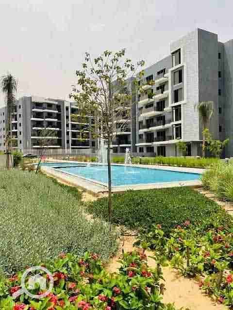 3 FB_IMG_1761504421313. jpg