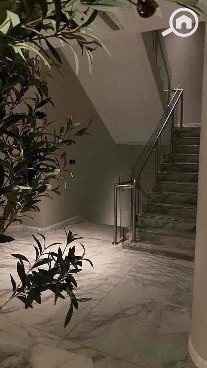 3 62a70e7e-8c15-49b9-b064-60d0b01362a7. jpg