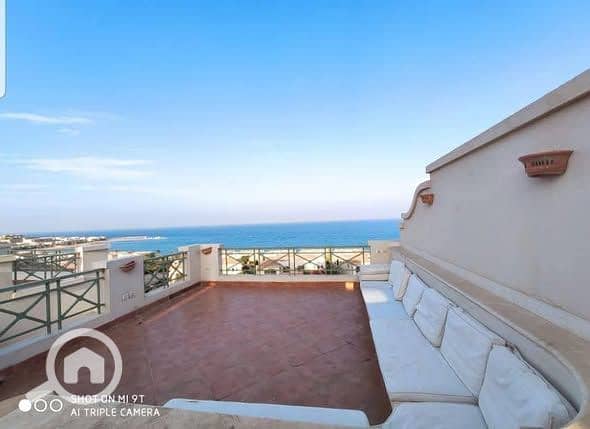 5 557635706_708106582298551_5664980837948048230_n. jpg