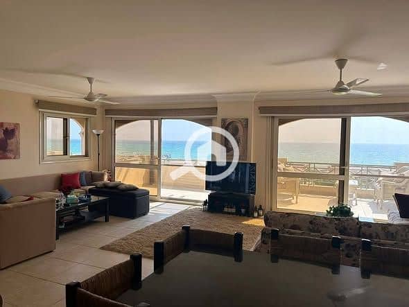 7 566185785_841620131540946_4117401662481271864_n. jpg