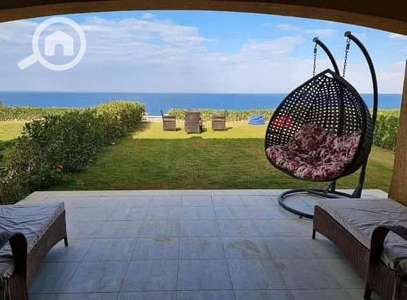 9 567521803_843838074652485_2900269656361739536_n. jpg