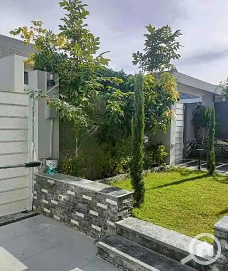 IMG_9255. jpg IMG_9255. jpg