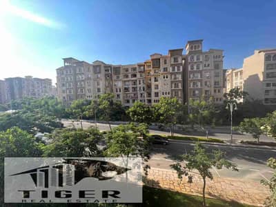 3 Bedroom Apartment for Sale in Madinaty, Cairo - 1002882512. jpg 3 Bedroom Apartment for Sale in Madinaty, Cairo - 1002882512. jpg