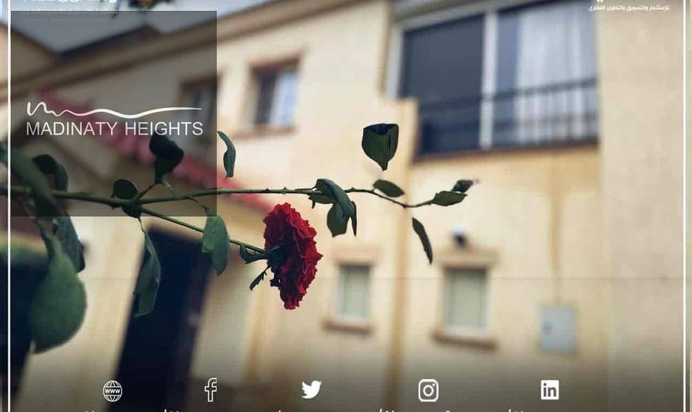 7 df694097-f29d-4c52-a980-c6e32b5f6370. jpg