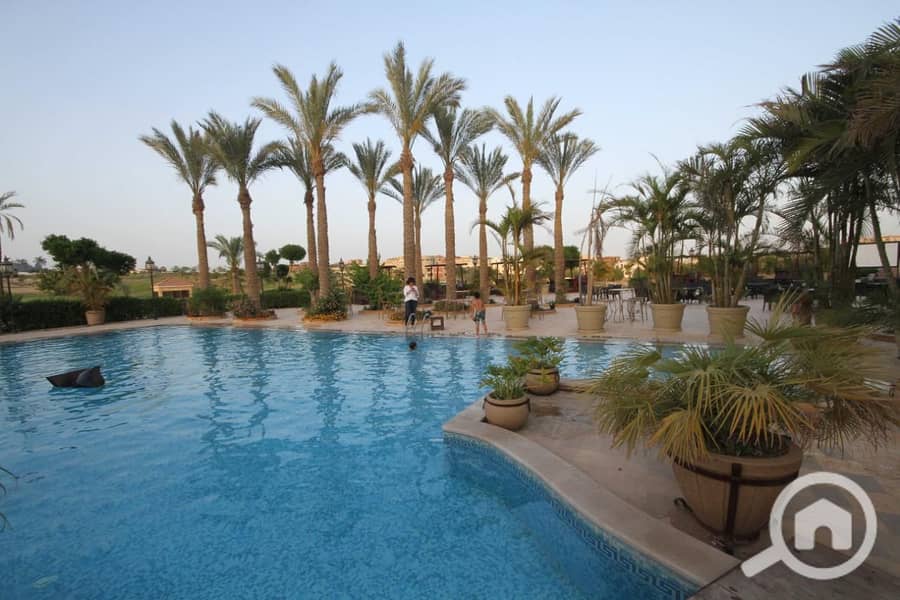 8 bf037533-6d73-4158-bb16-54cc137f513e. jpg