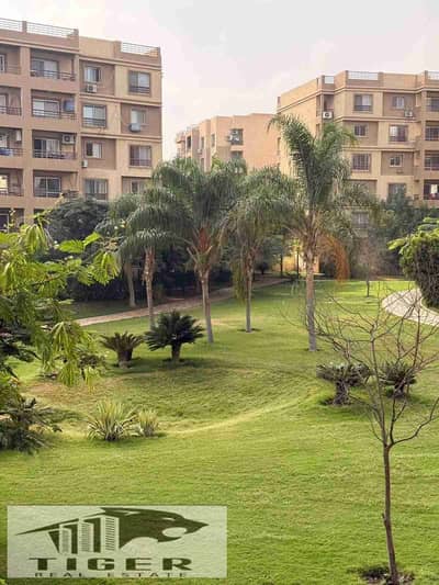 3 Bedroom Flat for Rent in Madinaty, Cairo - 1000381336. jpg