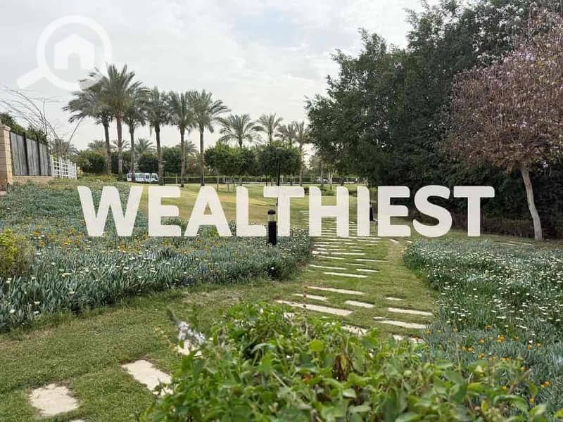 5 af0666f7-579d-4e14-8a8b-f1f4b8662560. jpg