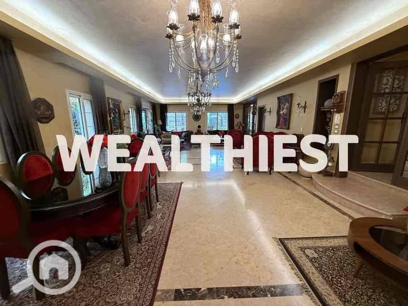 16 bf5317e5-05e7-4fa3-8fb7-f709a7c15787. jpg