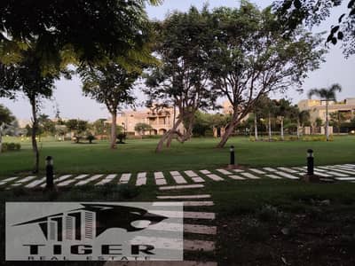 4 Bedroom Villa for Rent in Madinaty, Cairo - WhatsApp Image 2025-10-27 at 12.30. 13 AM (2). jpeg