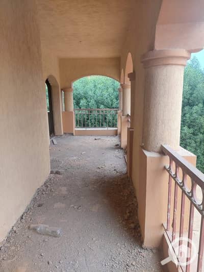 11 Bedroom Villa for Sale in New Cairo, Cairo - WhatsApp Image 2025-10-27 at 01.02. 08_4c3640a9. jpg 11 Bedroom Villa for Sale in New Cairo, Cairo - WhatsApp Image 2025-10-27 at 01.02. 08_4c3640a9. jpg