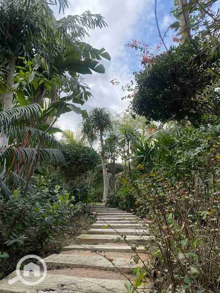 3 IMG-20250919-WA0202. jpg