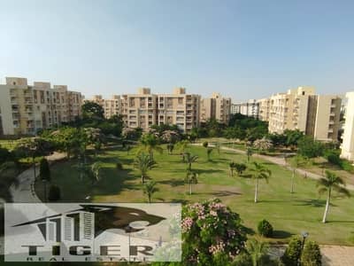 4 Bedroom Apartment for Sale in Madinaty, Cairo - WhatsApp Image 2025-10-27 at 1.26. 43 AM. jpeg