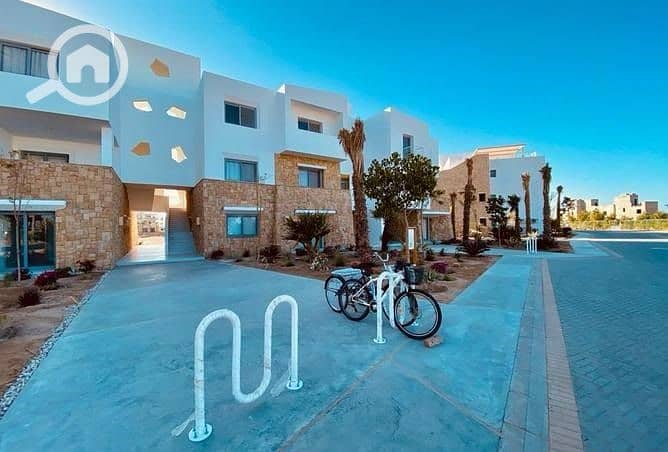 3 WhatsApp Image 2025-10-06 at 15.51. 47 (1). jpeg