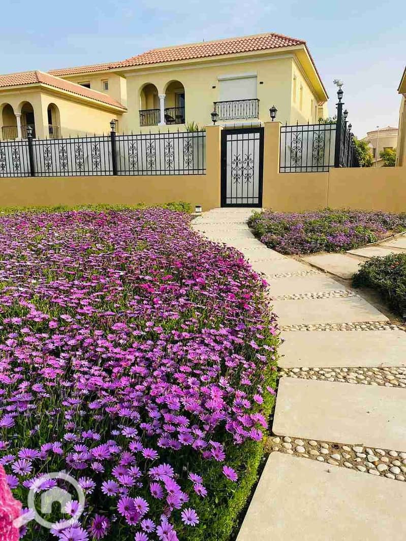 6 IMG_20230326_190108_205. jpg