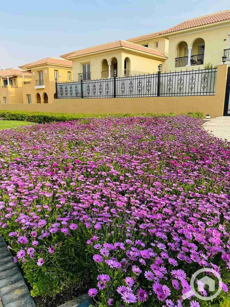 7 IMG_20230326_190108_888. jpg