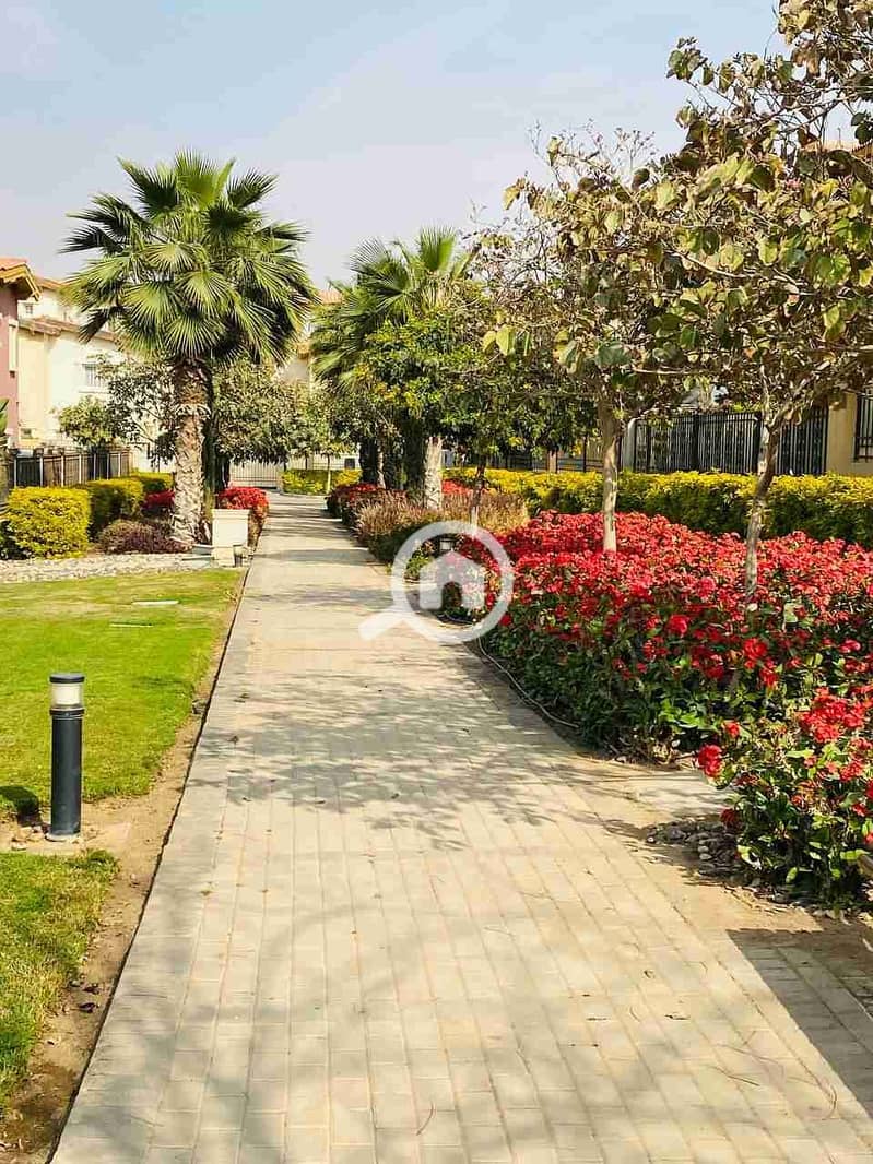 8 IMG_20230326_190047_981. jpg