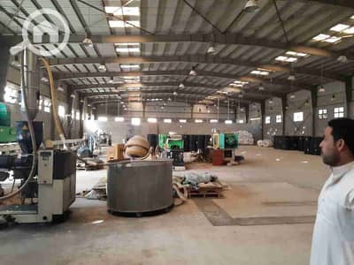 مصنع  للايجار في برج العرب، الإسكندرية - 1000517738. jpg مصنع  للايجار في برج العرب، الإسكندرية - 1000517738. jpg