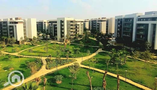 3 Bedroom Flat for Rent in Madinaty, Cairo - WhatsApp Image 2025-10-27 at 10.06. 47 AM. jpeg