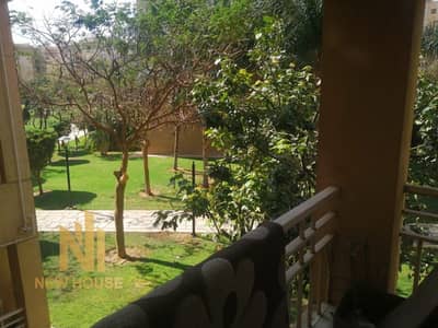 2 Bedroom Flat for Rent in Madinaty, Cairo - WhatsApp Image 2025-10-23 at 3.47. 15 PM (1). jpeg