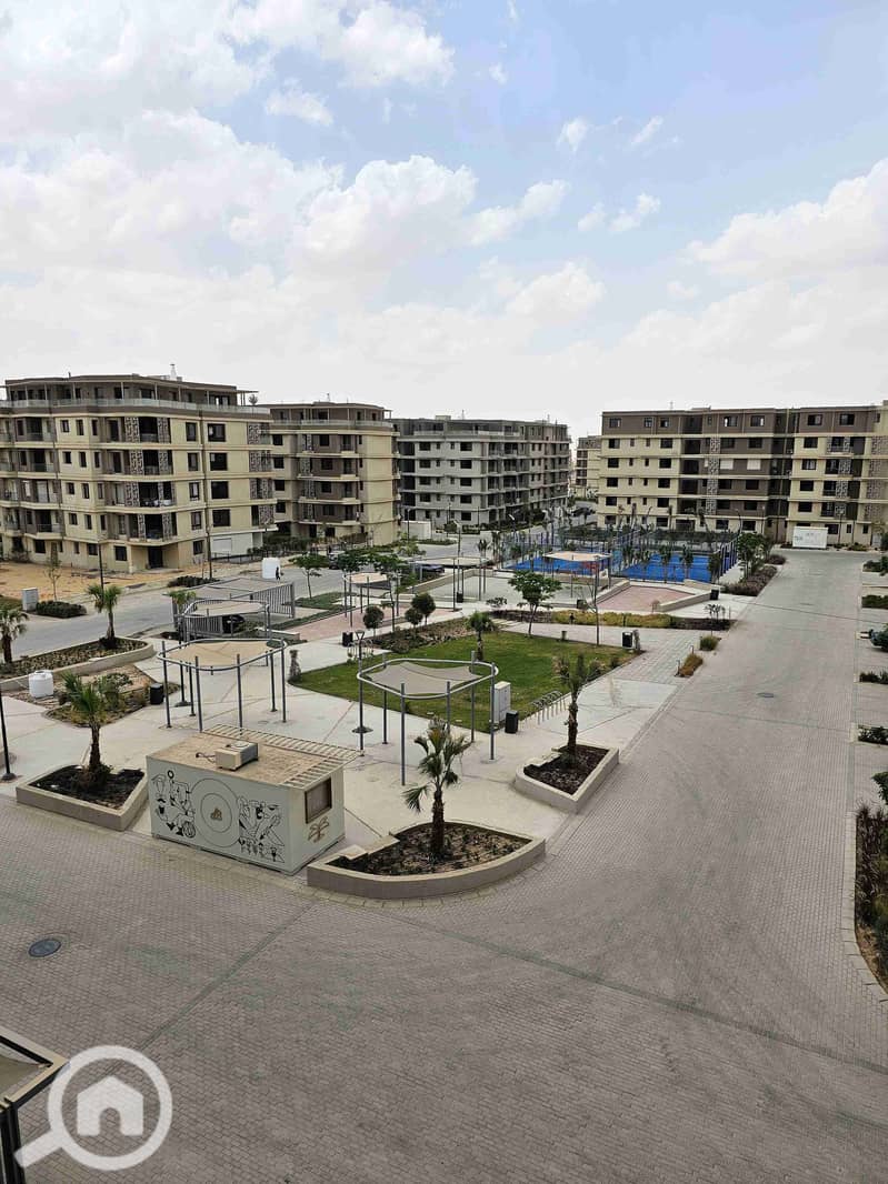 2 20250601_134250. jpg