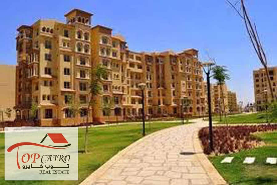 7 images (1)_1200x800. jpg