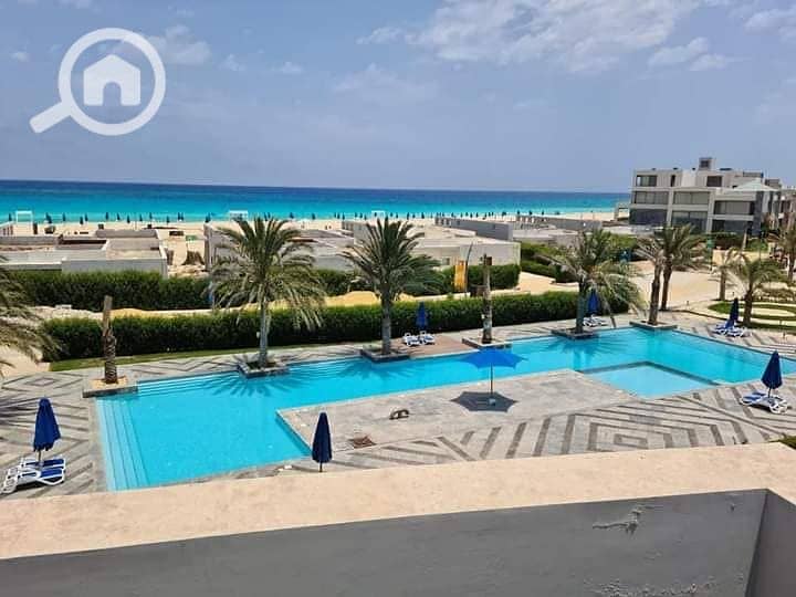 8 275513529_2079797135532674_1764296535814392978_n. jpg