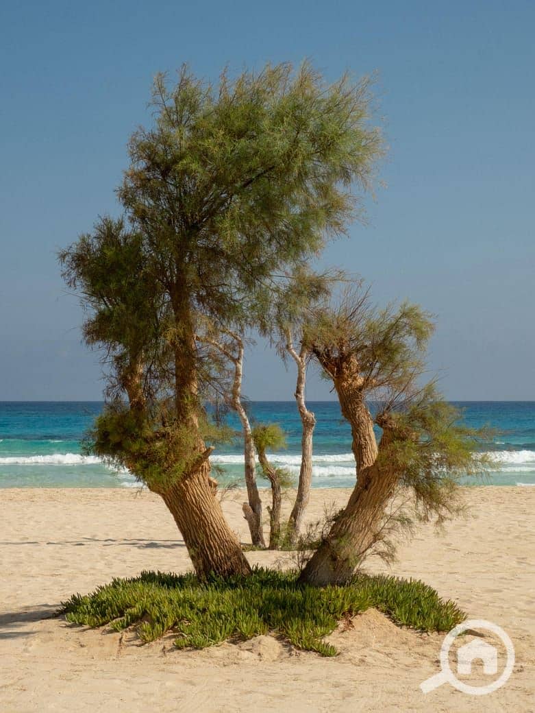 2 IMG-20250903-WA0472. jpg