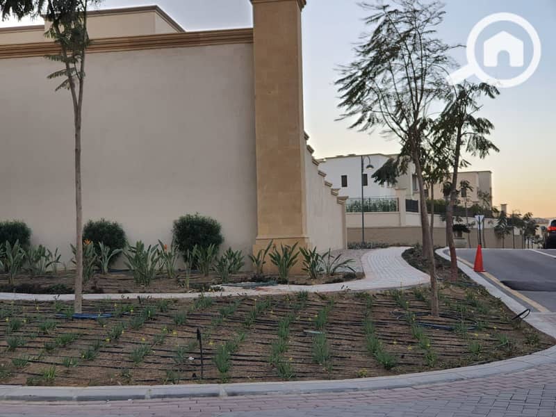 7 1cde2fc5-0dcc-4114-a762-1efa4d9ae720. jpg