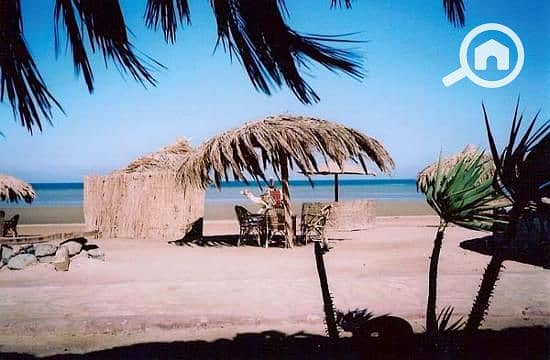 9 mangroovy-beach. jpg