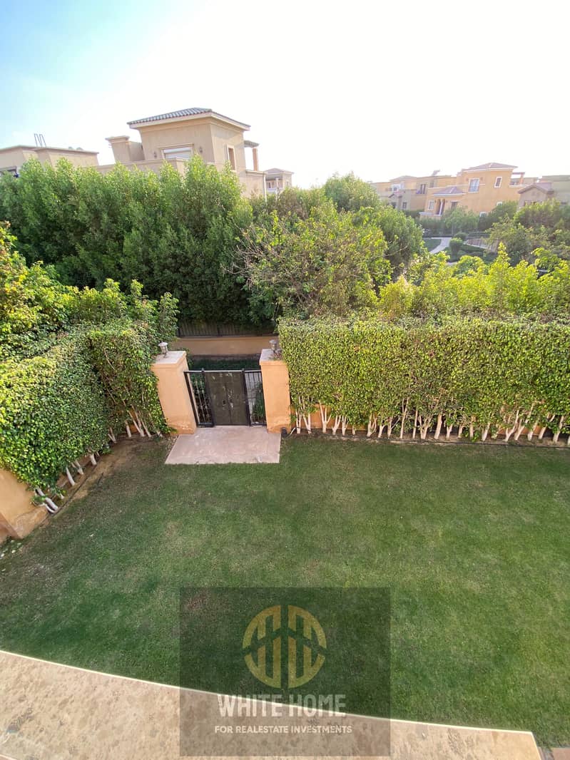 13 0addb378-260b-4dd9-9882-f9bea8ee26e1. jpeg