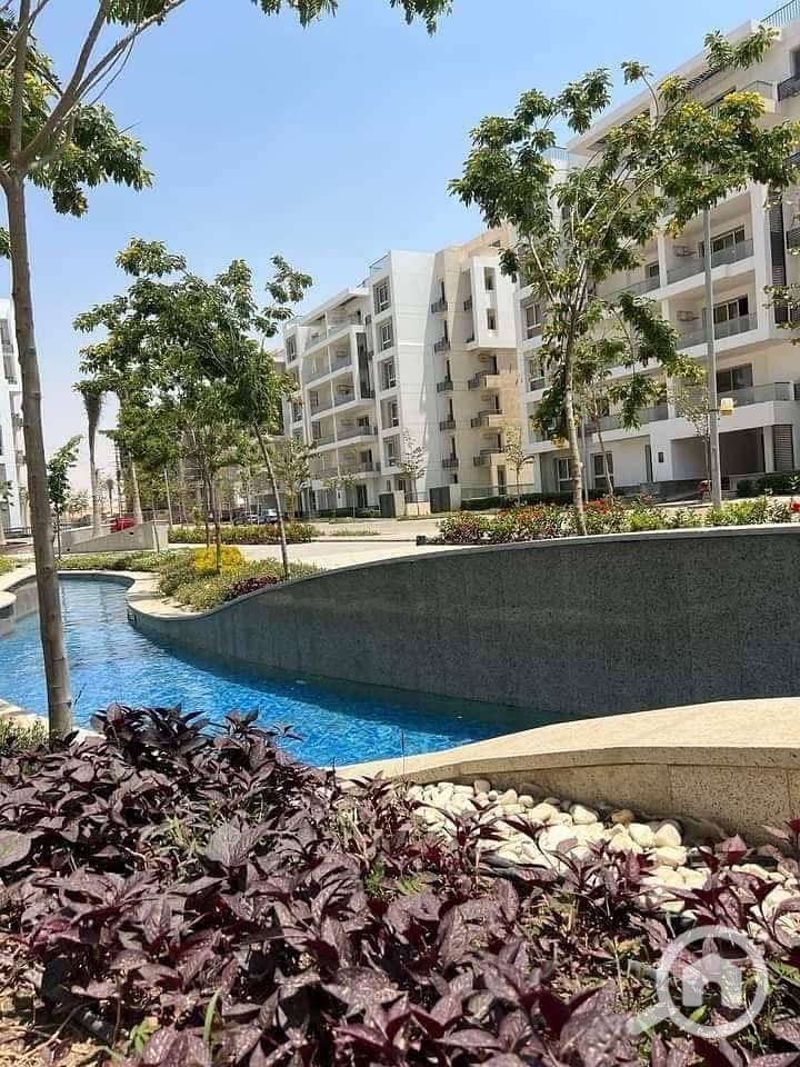 7 WhatsApp Image 2025-09-23 at 17.51. 57_2182fb9c. jpg