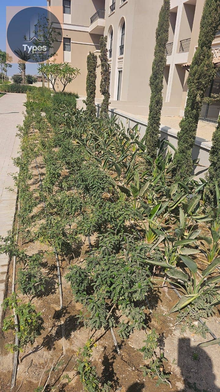 17 WhatsApp Image 2025-10-27 at 11.38. 44 AM (1). jpeg