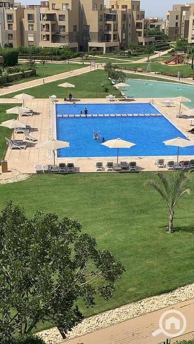 فلیٹ 2 غرفة نوم للايجار في 6 أكتوبر، الجيزة - 6e7bcae6-ef8b-456b-b4e7-859122984d22. jpg