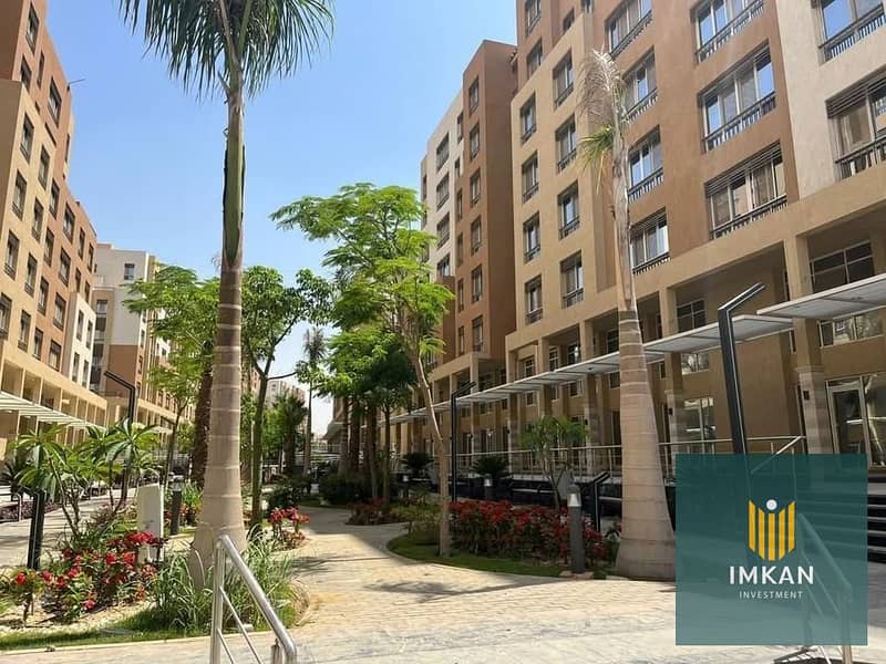 10 542933725_1429017092316438_5071571276772152121_n. jpg