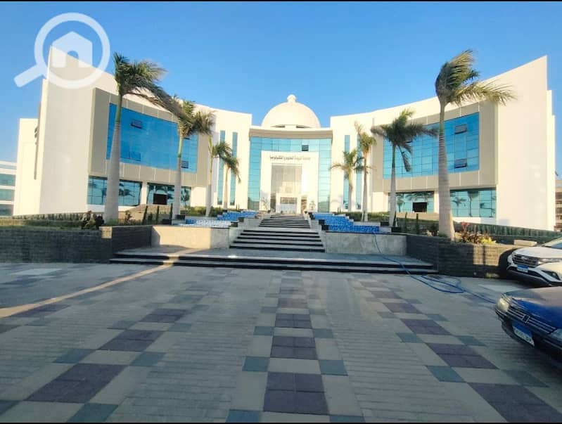 8 WhatsApp Image 2025-10-22 at 15.12. 34_8085c408. jpg