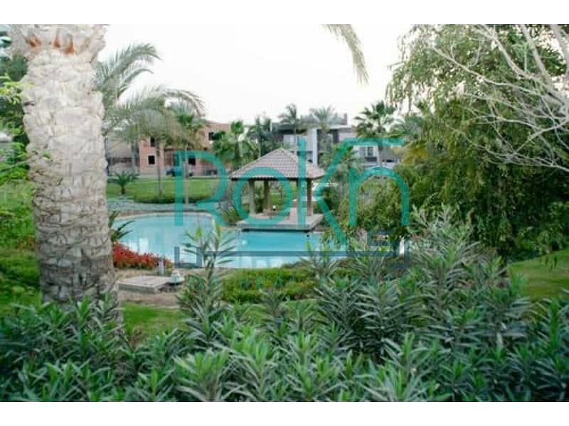 6 medium_IMG-20241028-WA0365. jpg