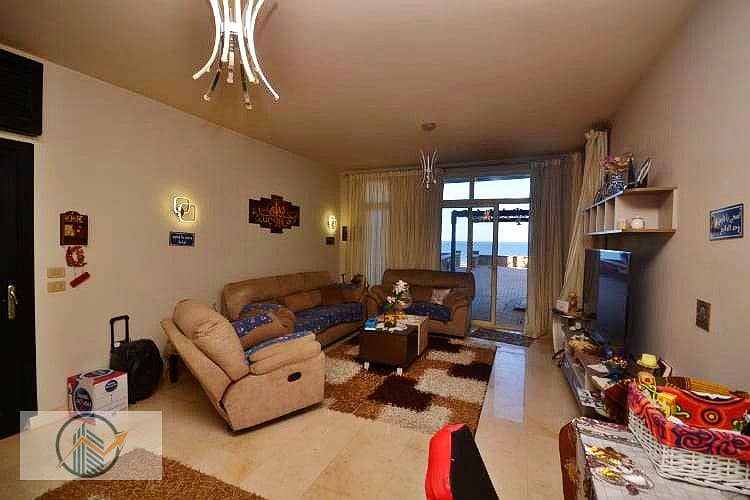 8 DSC_0600_7fe28_lg (1). jpg